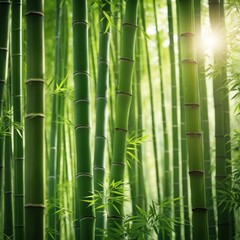 Obraz premium green bamboo background