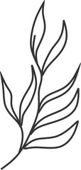 Hand Drawn Floral Ornament