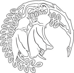 kowhai flowers line art  vector design handmade silhouette	