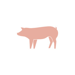 Vector illustration domestic of a pig