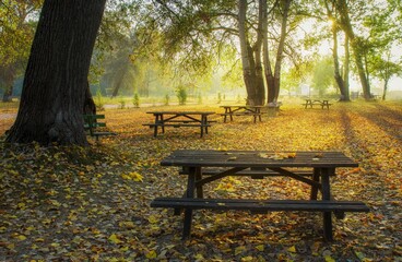 bench in autumn park