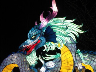 Kleve Tierpark china light