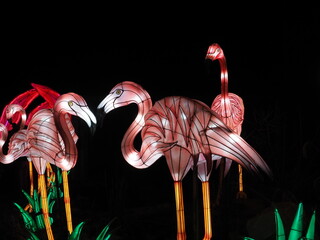 Kleve Tierpark china light
