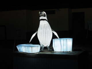 Kleve Tierpark china light