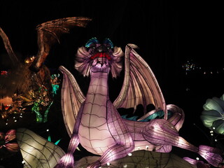 Kleve Tierpark china light