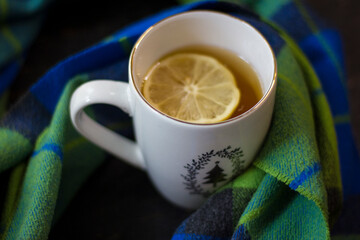Lemon and mint tea with cookies on wooden table.