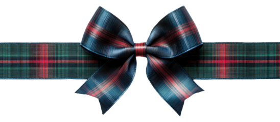 Elegant blue and red plaid bow with classic woven ribbon for decoration.