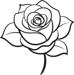 Black and white rose on a white background. Hand-drawn illustration.