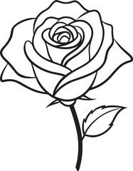 Black and white rose on a white background. Hand-drawn illustration.