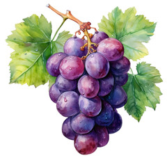 Fototapeta premium Fruit PNG, Berry PNG, Cherry PNG, Grape PNG, Peach PNG, Pear PNG, Apple PNG, Watercolor Art, Still Life, Isolated on white background, Clip art