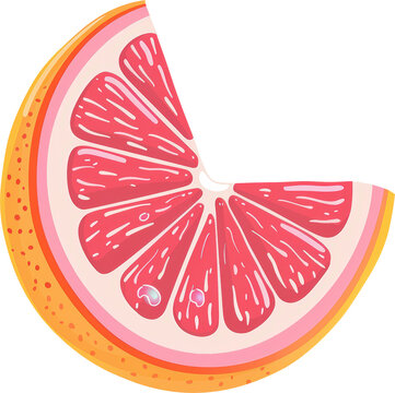 コブクロ　イラストフレーム　grapefruits コブクロ イラストフレーム grapefruits Grapefruit Vector Art