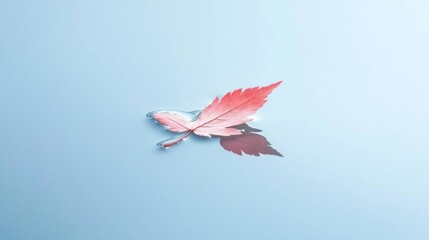 Fototapeta premium Tranquil Beauty - Close-up of Vibrant Red Leaf Floating on Calm Water with Reflective Surroundings