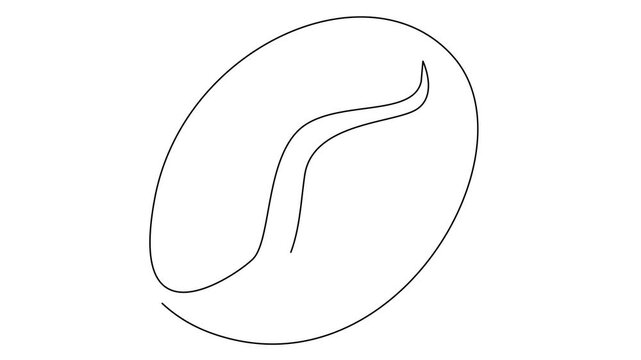 Linear coffee grain background. One continuous line drawing of a coffee bean template