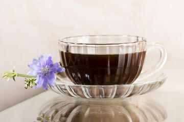 One glass of chicory beverage and flower on glass table with reflection. Close up. Horizontal format