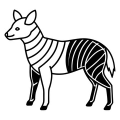 zebra isolated on white