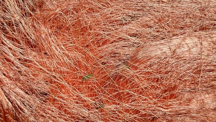 Macro texture of tangled copper wire shavings creating a dense metallic mesh with natural hues.