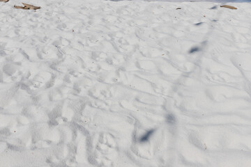 Fine white sand that glistens and reflects the sunlight.