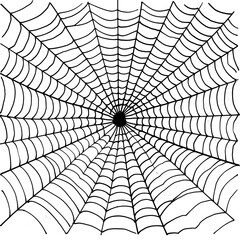 Obraz premium Spider silk