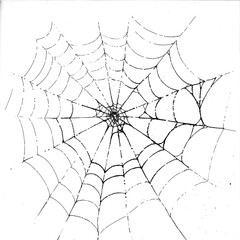 Obraz premium Spider silk