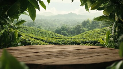 Serene View of Green Tea Fields with Natural Surroundings