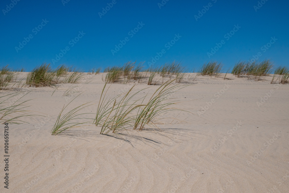 Wall mural la dune et le ciel