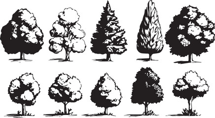 Fototapeta premium Silhouette tree set. Side view, set of graphic trees elements outline symbol for architecture and landscape design drawing. Hand drawn vector illustration