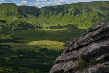 Naklejka premium rocky slopes, alpine vegetation of the Black Mountain Range, Carpathians, Ukraine.