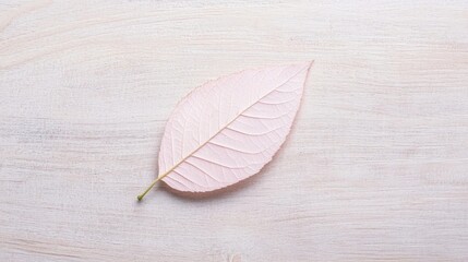 Vibrant Leaf on Textured Wooden Table Close-up - Nature Background