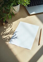 Minimalist Paper and Leaf Shadows on Wooden Surface