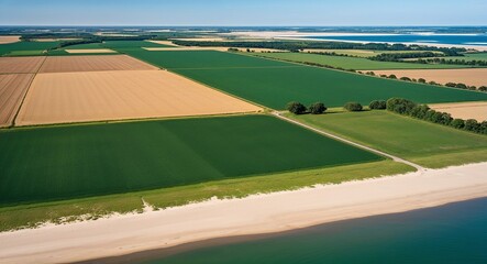 Obraz premium Open fields landscape that transitions to sandy shores