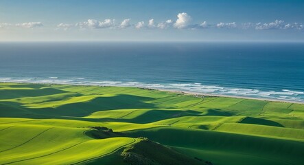 Obraz premium Vast green plains flowing into the oceanfront