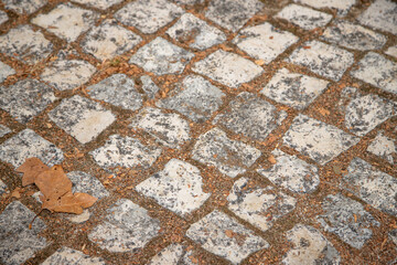 Detail of a worn cobblestone pavement with dry leaves scattered on top. Beautiful background with earthy tones and the textures of the Portuguese cobblestones. Ilhavo, Aveiro, Portugal.