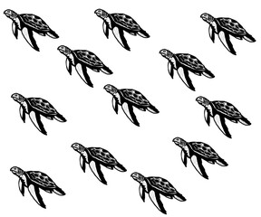 Fototapeta premium A seamless black and white vector pattern featuring multiple sea turtles swimming. Ideal for marine-themed designs, tattoos, or fabric prints, showcasing a minimalist and artistic aquatic life concept