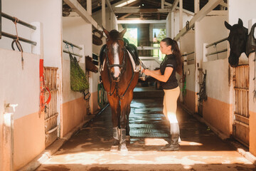 Banner with young woman rider in equestrian uniform in stable saddling her horse. Horse riding...