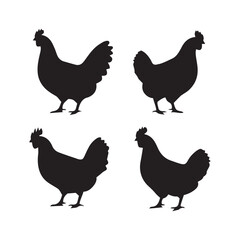 Set of silhouette four chickens, Vector, Silhouette