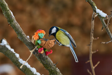 Winter Bird Feeding with Whimsical Toy and Sunflower Seeds on Forest Branch