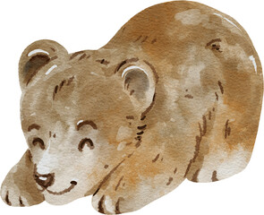 Cute Baby Brown Bear watercolor illustration