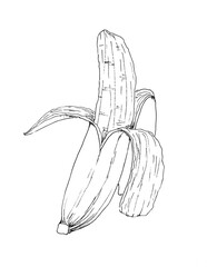Line Art Banana. Overripe Banana, Single Banana, Peeled Banana. Hand drawn Exotic Sweet Fruit Graphic Art Illustration. Exotic Healthy Eating. Black and White Linear Logo, Design Card Object.