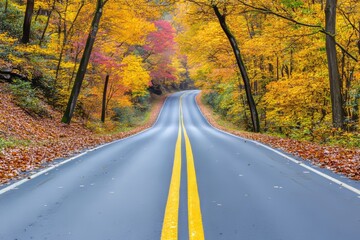 Fototapeta premium In colorful autumn time, a beautiful alley in colored autumn time