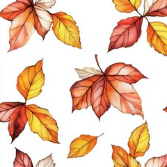 Obraz premium Multicolored leaves on white background in autumn pattern