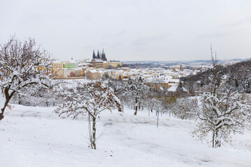 Snowy Prague City with gothic Castle from the Hill Petrin, Czech republic 