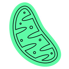 Mitochondria icon, mitochondrium, genome, health