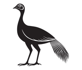 Illustration of a bird, Vector birds, Silhouette of a bird