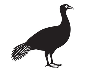 Illustration of a bird, Vector birds, Silhouette of a bird