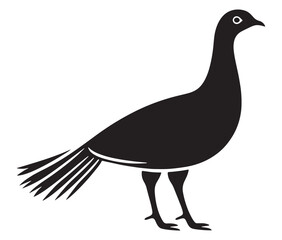 Illustration of a bird, Vector birds, Silhouette of a bird