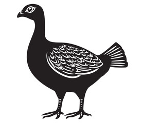 Illustration of a bird, Vector birds, Silhouette of a bird