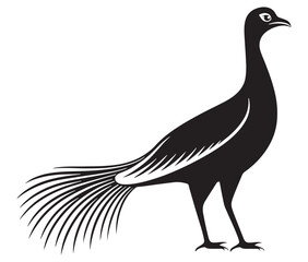 Illustration of a bird, Vector birds, Silhouette of a bird
