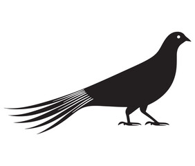Illustration of a bird, Vector birds, Silhouette of a bird