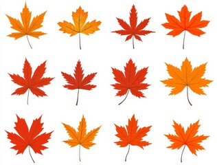 Autumn leaves collection, set of autumn leaves, leaves collection