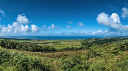 Panoramic View of the Coastline